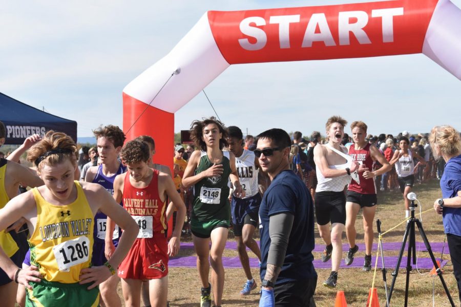 Cross country teams from the region race across the finish line of the last meet of the season. 
