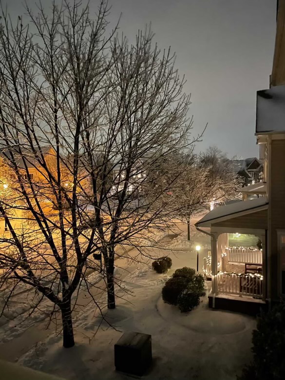 An evening view of the first frost of the season from senior Shirley Li’s home. The holiday lights added to the beautiful snow day. (Photo courtesy of Shirley Li)