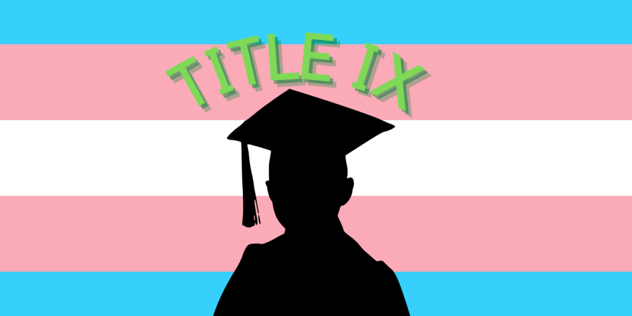 TITLE IX