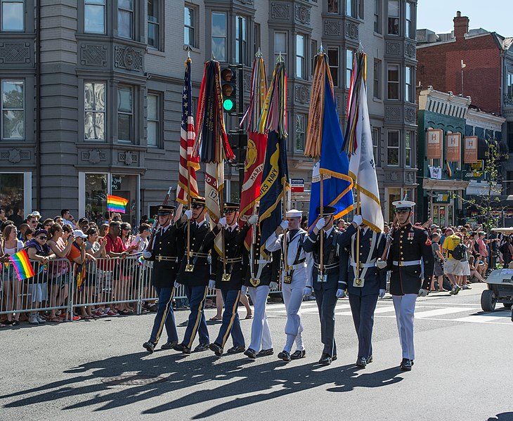 US_Armed_Forces_color_guard_-_DC_Capital_Pride_-_2014