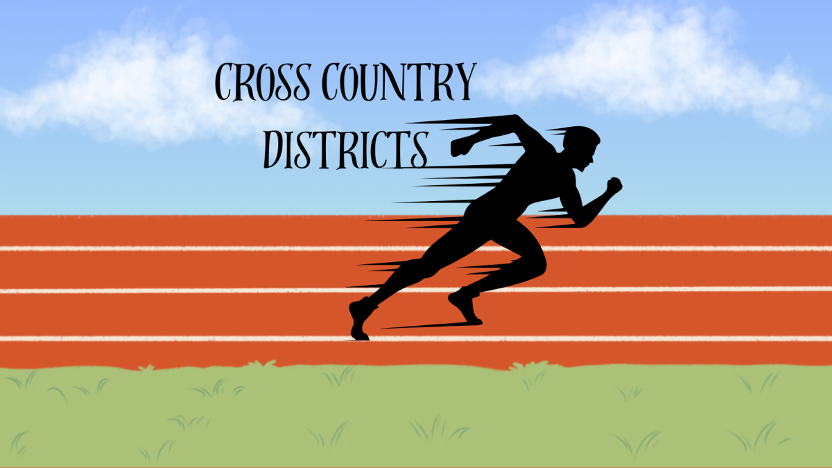 As+the+cross+country+season+comes+to+an+end%2C+team+members+managed+to+qualify+for+districts.+Although+it+was+the+first+time+the+boys+made+it+to+districts%2C+senior+Ayush+Marwaha+still+treated+the+meet+like+any+other.+%E2%80%9CThe+atmosphere+has+always+been+crazy+at+the+meet%2C%E2%80%9D+Marwaha+said.+%E2%80%9CThe+adrenaline+rush+is+always+insane%2C+but+I+feel+like+Ive+gotten+used+to+it.+Before++every+meet%2C+I+always+tell+myself+to+try+and+be+calm.%E2%80%9D