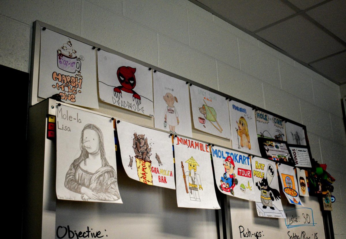 Hanging above chemistry teacher Michael Clear’s desk, 14 drawings have been given the title of ‘best illustrations.’ 