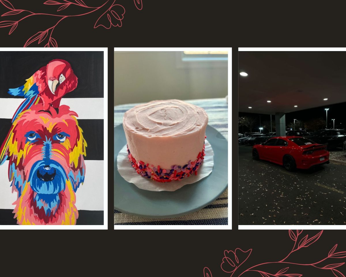 Senior Sidney Powells painting (left) juniors Grace Bodmans cake (middle)  Tamim Mitzads car (right), share photos of what they do to bring peace to their lives. “When I bake anything, it takes away my anger, stress, and any emotion that I don’t want to feel; that’s what I believe a hobby is to a person,” Bodman said. Photo courtesy of Tamim Mitzad and Sidney Powell.