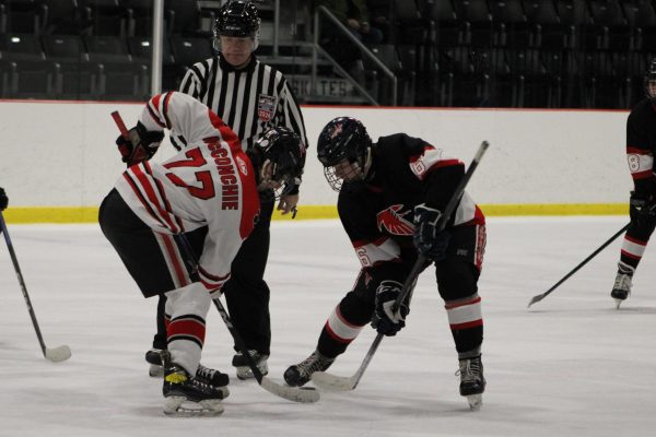 Senior forward Daniel McConiche attempts to make a move to hit the puck to one of his teammates during a face-off. The game against the Madison Warhawks ended in a 9-1 loss for the Pride/Phoenix.
