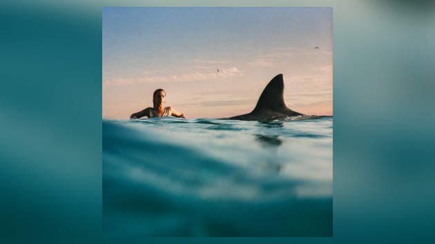 Dua Lipa sits in the ocean as a shark fin approaches her, hinting at the theme of lovers potentially backstabbing you. Photo courtesy of Warner Records.
