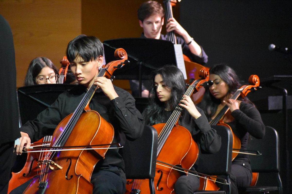 While sophomore Tyler Nguyen, senior Shubha Ballurkar, and junior Norah Thomas concentrate on playing their cello in tune with the music, junior Andrew Takach stands behind them, moving his hands across the fingerboard of his double bass as the only player with this instrument. 


