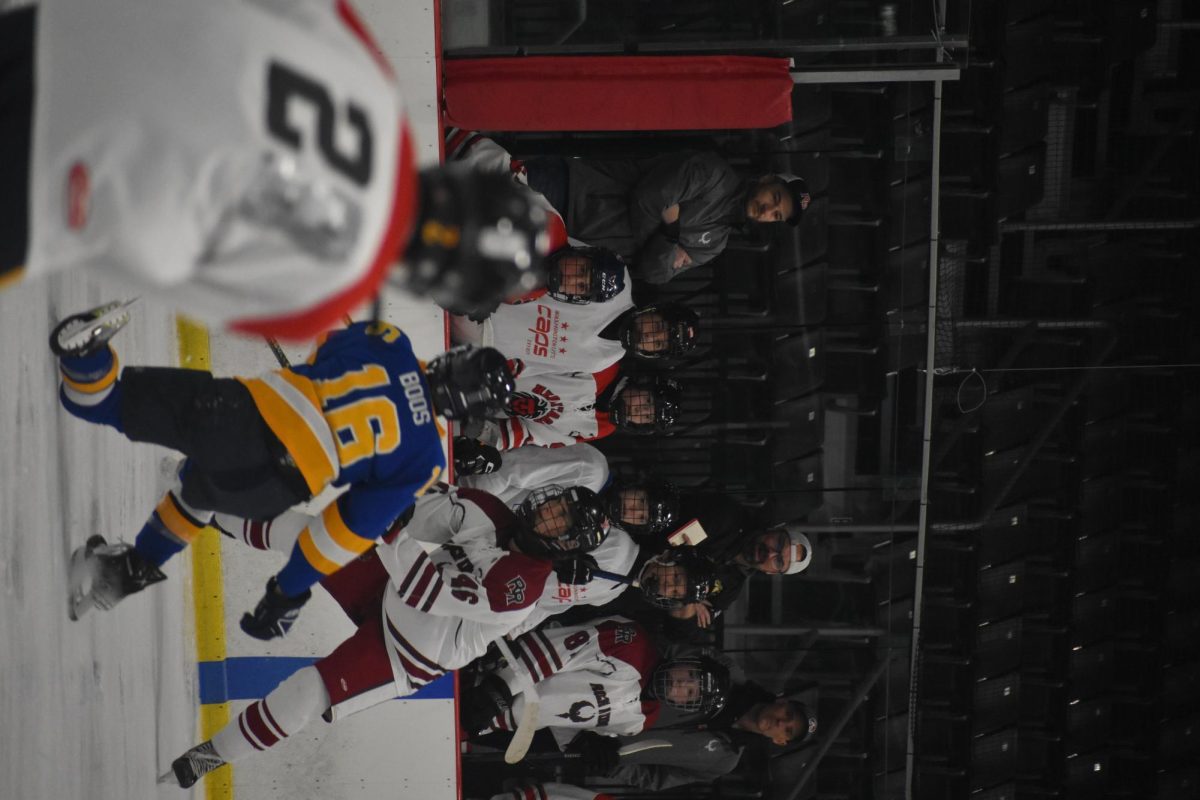 Junior defenseman Connor Bultema dumps the puck in the offensive zone as Pride/Phoenix watch from the bench intently.