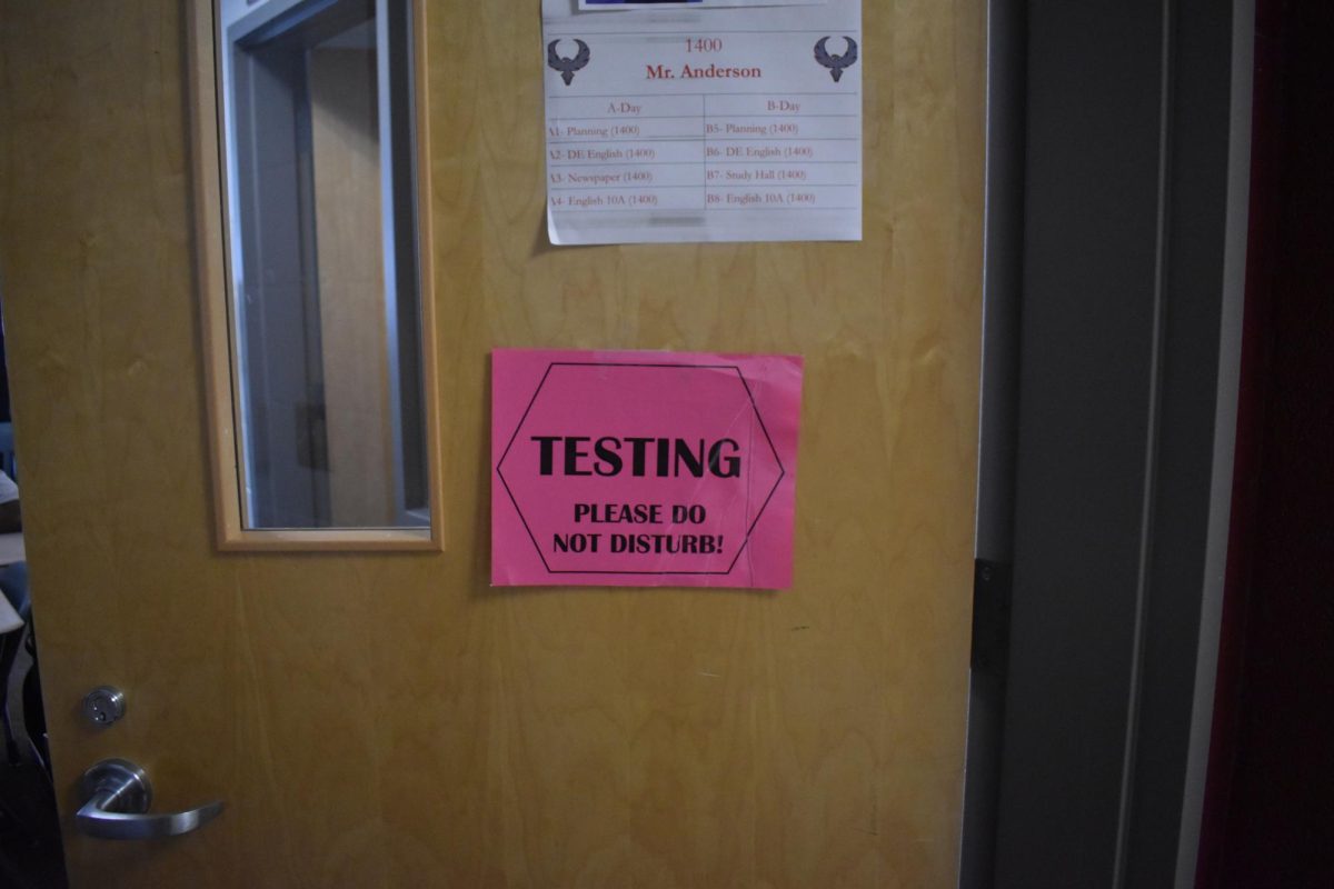 In the midst of all the end of year chaos, state testing can divert focus off of more important exams and activities and lead to an overly stressful time for students and faculty.