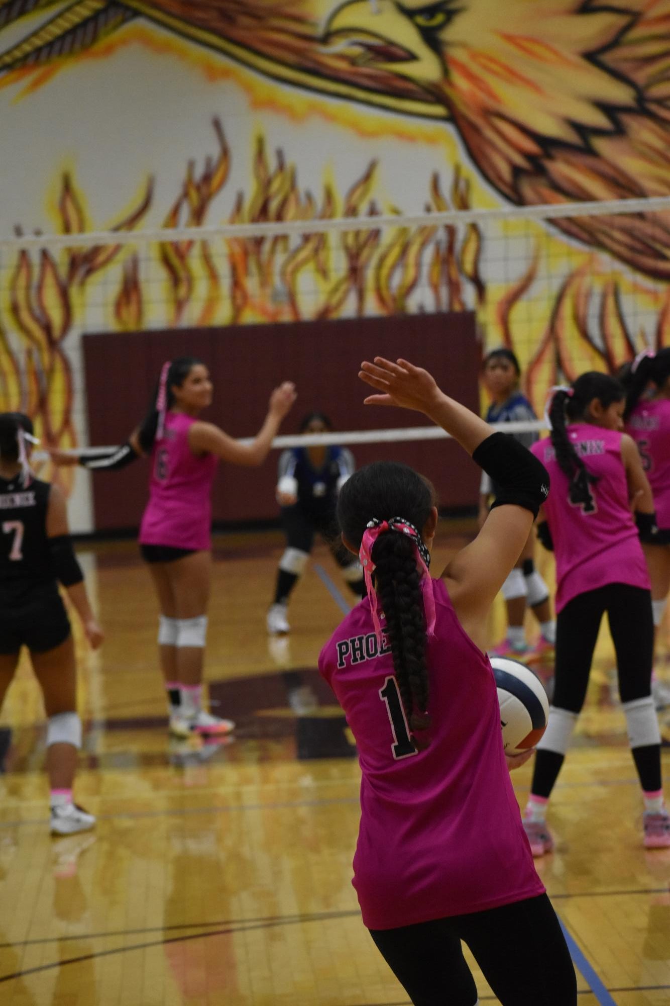 Volleyball