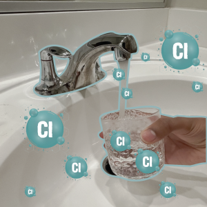 The switch from chloramines, which are a compound of ammonia and chlorine, to free chlorine is distinguished by its unique, undeniable smell.
